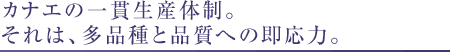 ベストなプランを、豊富な実績から。情報提供から製品開発・設計・製造までトータルでお応えします。